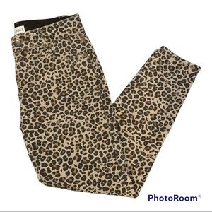 Knox Rose leopard print pants
